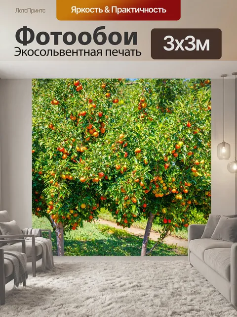 Фотообои с изображением фруктовых деревьев и кустарников, вызывающих ассоциации с садоводством