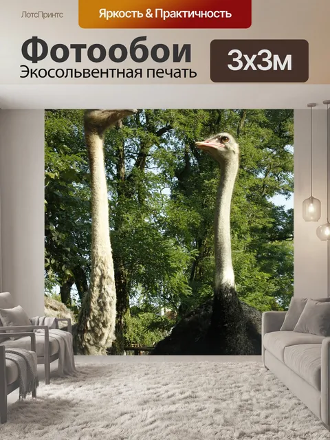 Фотообои Страус