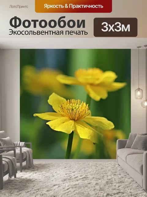 Фотообои Бархатцы болотные