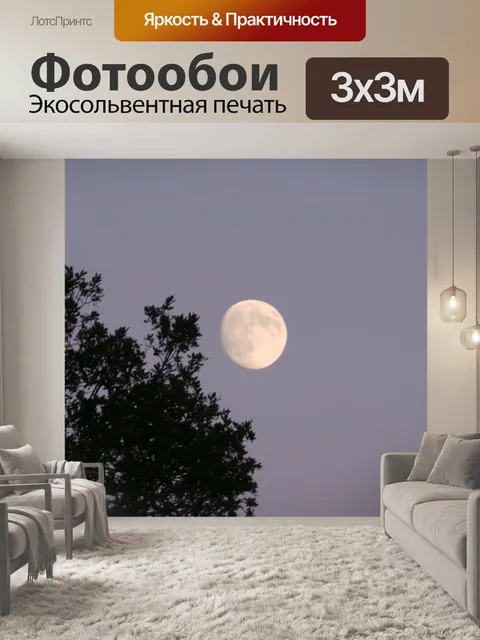 Фотообои Луна