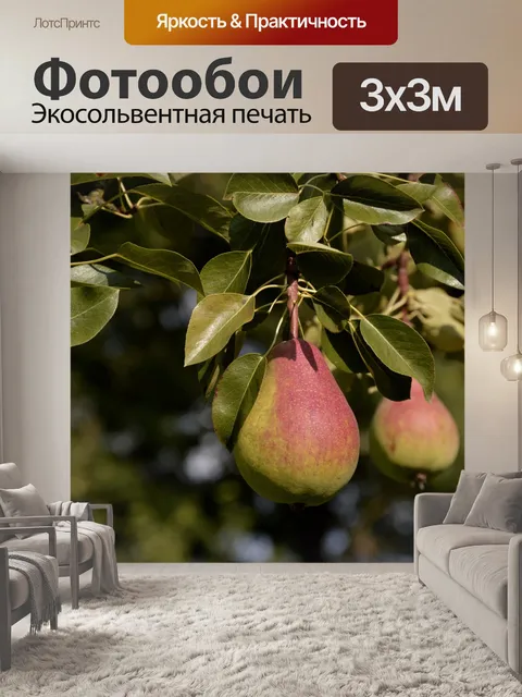 Фотообои Груша на дереве