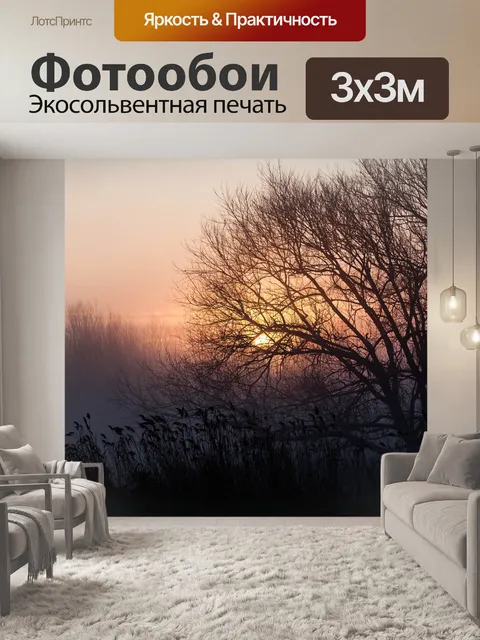 Фотообои Туманное утро