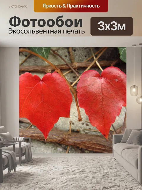 Фотообои Листья