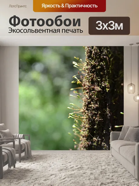Фотообои Жизнь