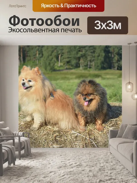 Фотообои Собаки