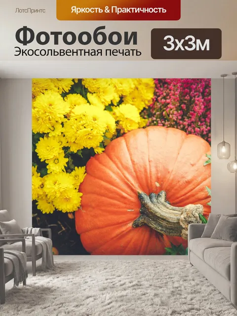 Фотообои Осенняя композиция из тыкв