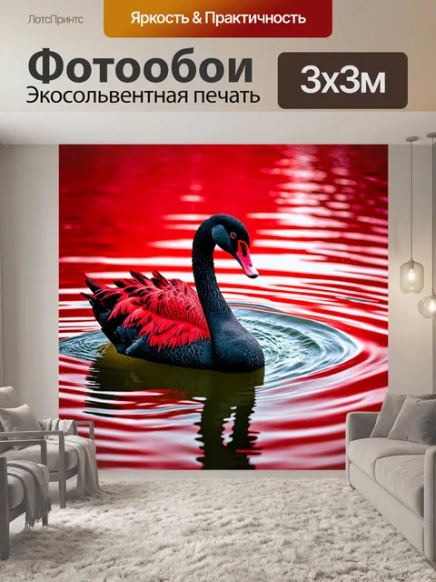 Фотообои черный лебедь с красными перьями