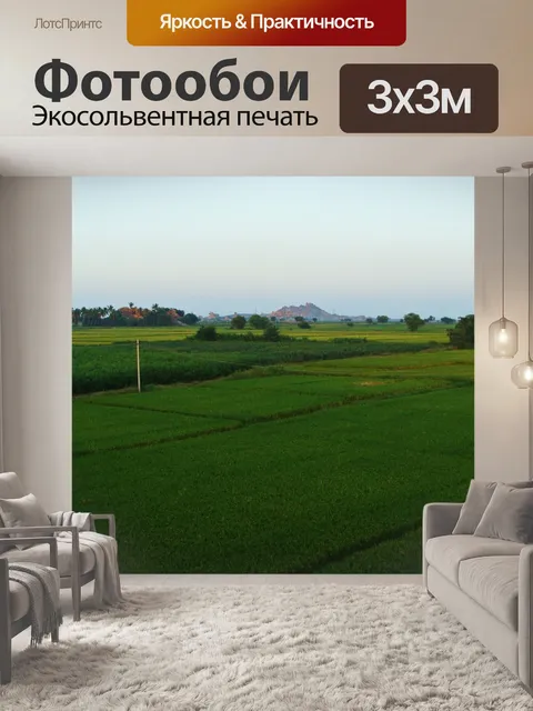 Фотообои Тунгабхадра равнины