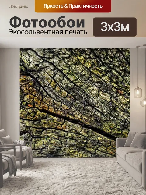Фотообои Структура коры дерева ствол дерева