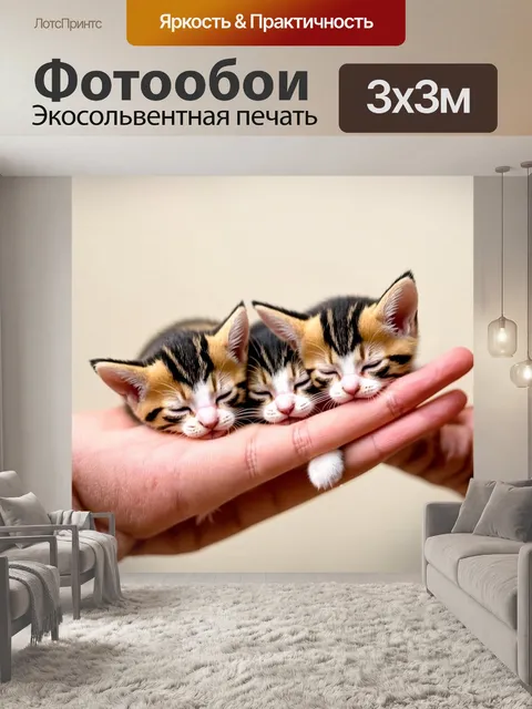 Фотообои котята, спящие на пальцах друзей, словно становятся частью их мира