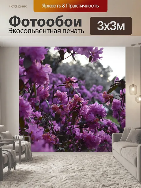 Фотообои Цветы