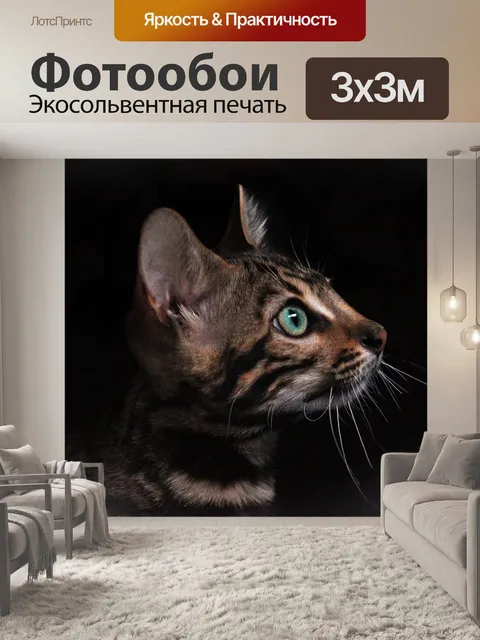 Фотообои Кошка