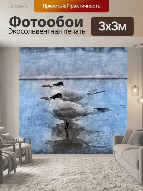 Фотообои крачки птицы