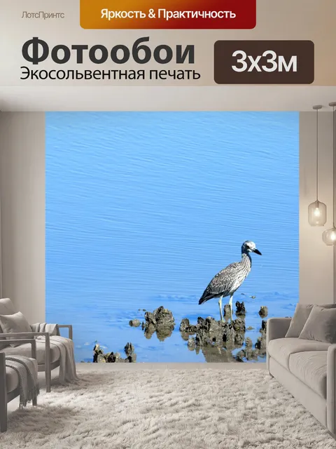 Фотообои Ночь Heron