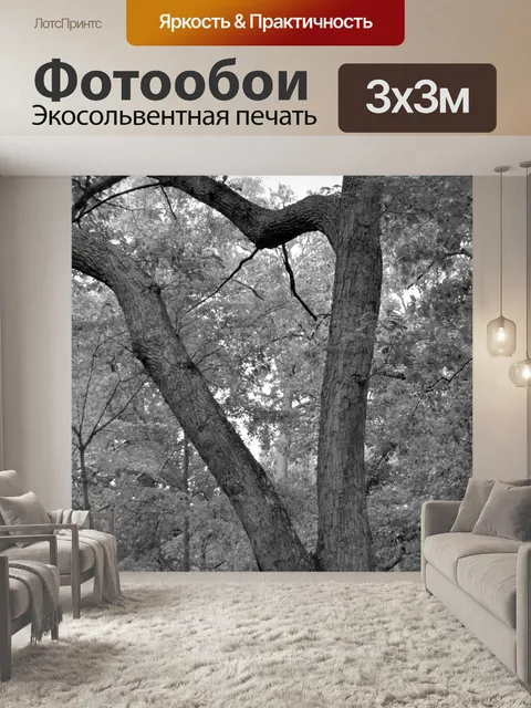 Фотообои Heart Shape Дерево
