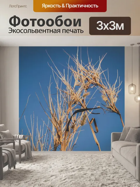 Фотообои Дикий цветок травы
