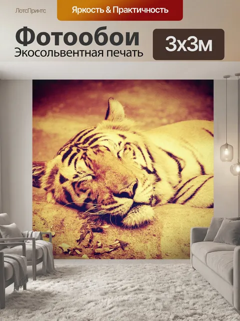 Фотообои тигр в зоопарке Таиланда