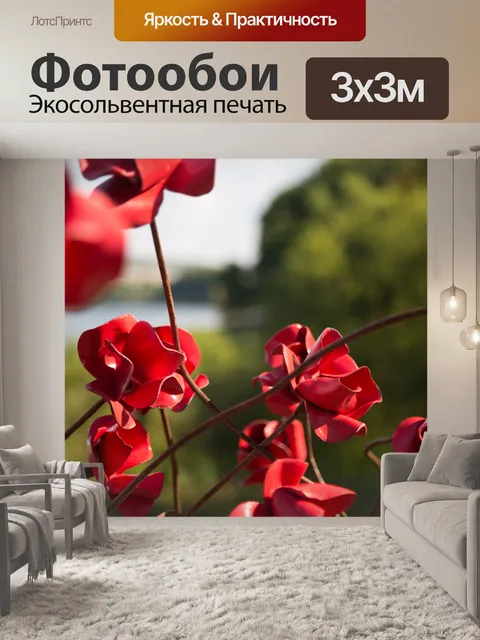 Фотообои Почтить память жертв, красные маки