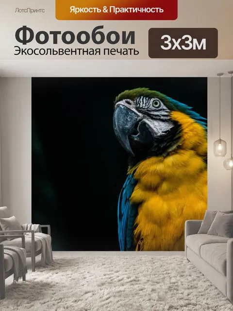 Фотообои Попугаи ара
