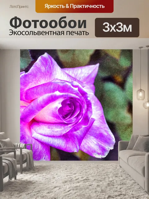 Фотообои Лаванда Роза