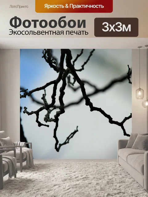 Фотообои ощупью ветки