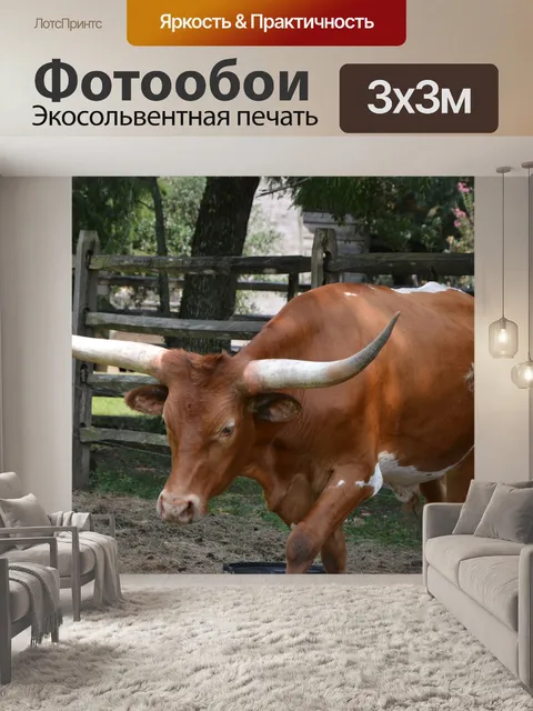 Фотообои Крупный рогатый скот