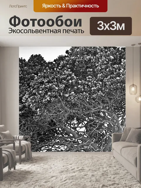 Фотообои прибрежное дерево в черно-белом