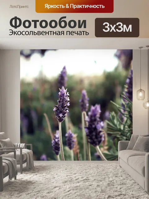 Фотообои Лаванда