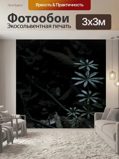 Фотообои Северный иран