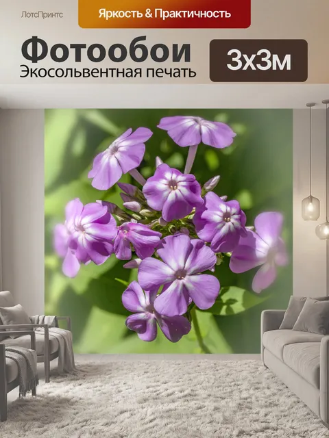 Фотообои Славный синий