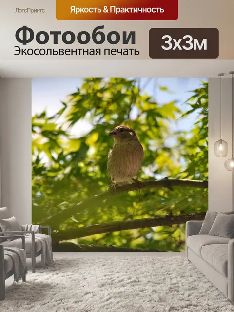 Фотообои Домовый воробей
