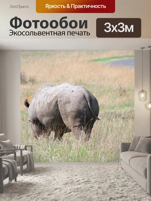 Фотообои покрытый грязью носорог в траве
