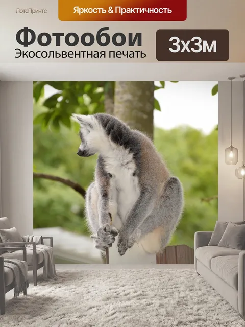 Фотообои Кошачий лемур