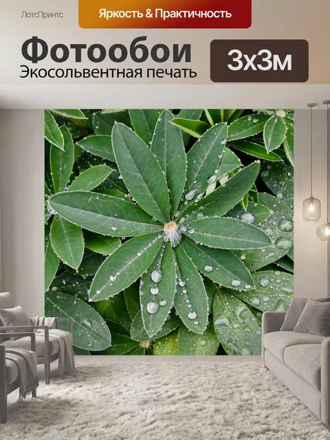 Фотообои Листья люпины