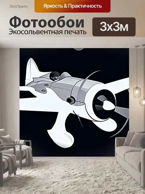 Фотообои Самолет обратного