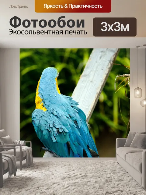 Фотообои Бирюзовый ара