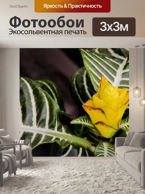 Фотообои Экзотический цветок