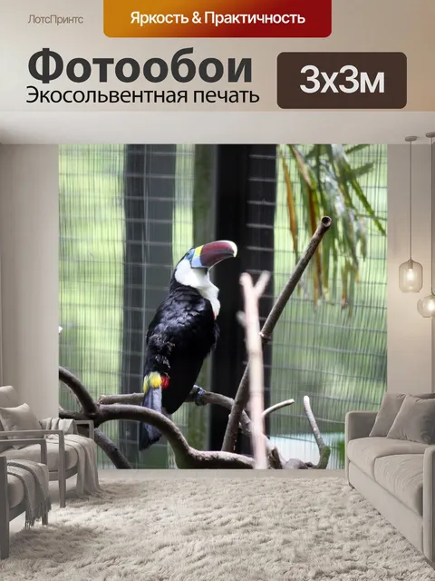 Фотообои птицы-носороги в клетке