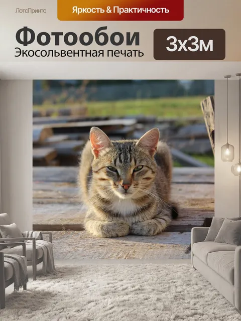 Фотообои Животные