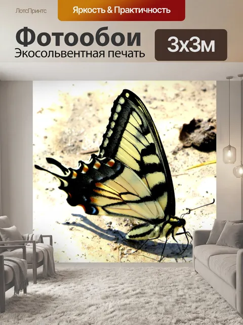 Фотообои Красивая желтый цвет бабочки