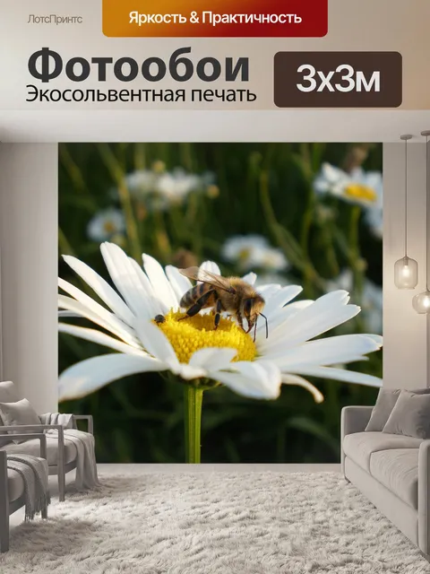 Фотообои Пчела