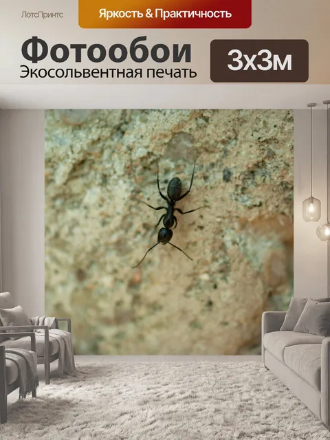 Фотообои Насекомое