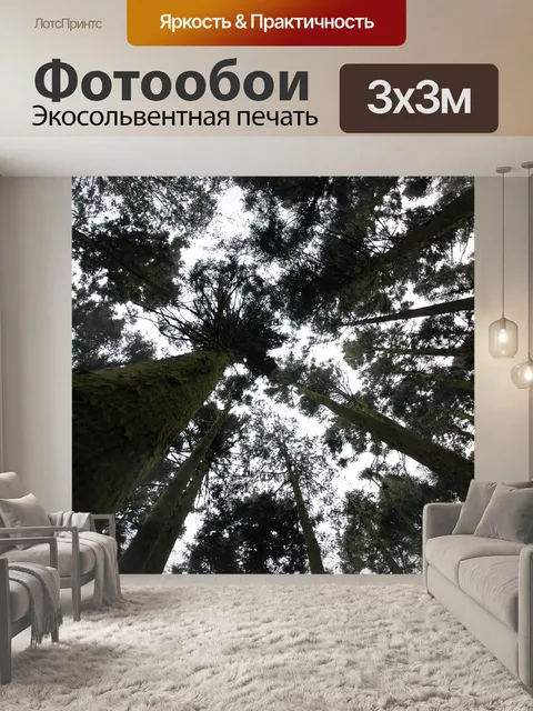 Фотообои Деревья