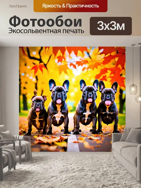 Фотообои щенки французского бульдога в различных позах на фоне живописной осенней листвы