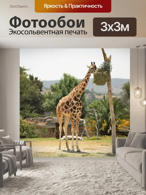 Фотообои Жирафа