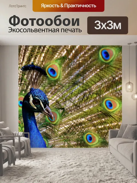 Фотообои Павлин