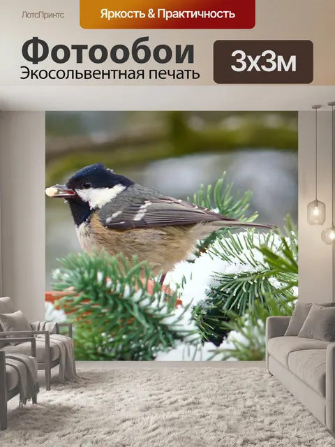 Фотообои Синица