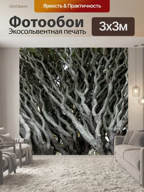 Фотообои Драконово дерево