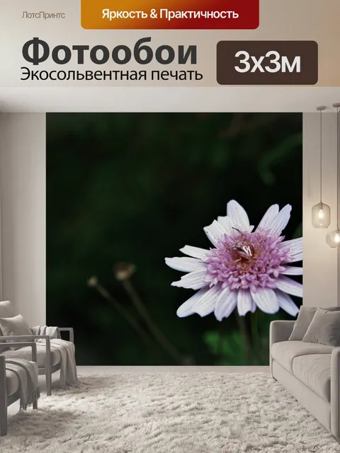 Фотообои розовый и белый краб паук на ромашке
