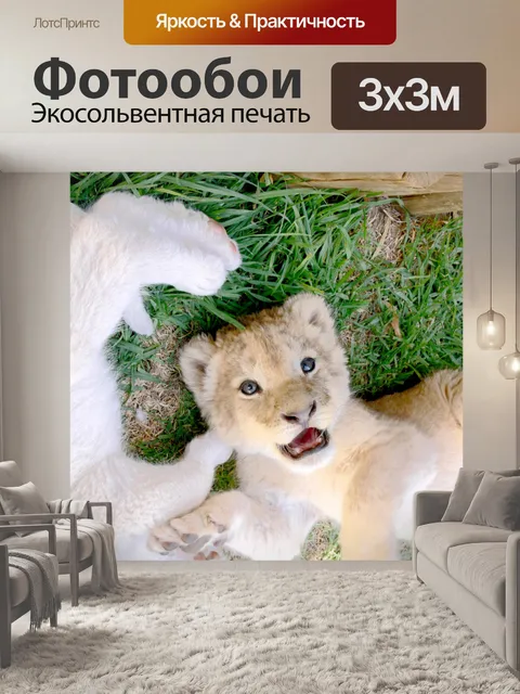 Фотообои Львята играют